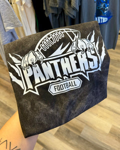 Panthers Football