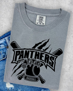 Panthers BaseBall 2 Tee